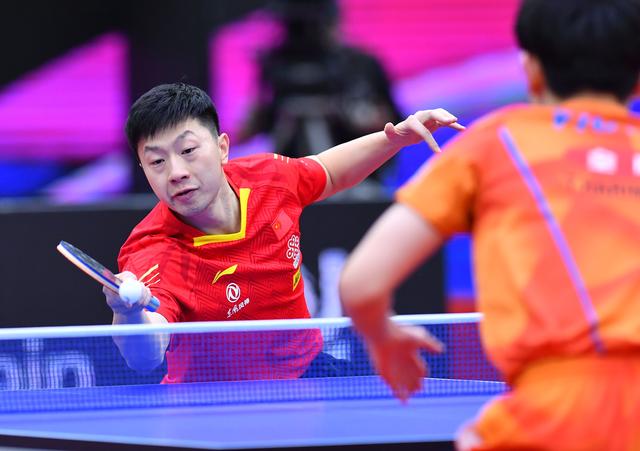 指导都将在 指导都将在