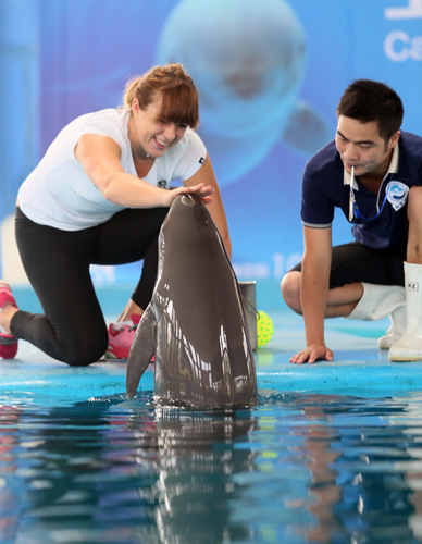 频繁出现恩 频繁出现恩